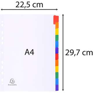 EXACOMPTA PREGRADNI KARTON A4, 6 BOJA, PLAST.DODAT 