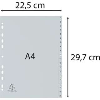 EXACOMPTA PREGRADNI INDEKS PP A4,SIVA BROJ 1-20 