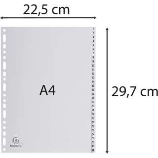 EXACOMPTA PREGRADNI INDEKS PP A4,SIVA BROJ 1-31 