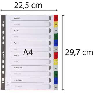 EXACOMPTA PREGRADNI INDEKS PP A4,BOJA, JAN/DEC 