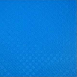 EXACOMPTA FASCIKLA A4 2R 20MM SV.PLAVA PP MEKA 