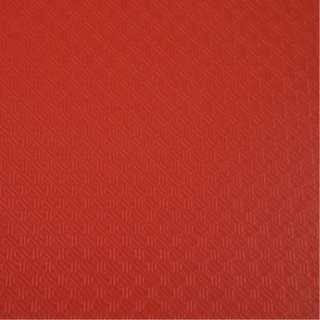 EXACOMPTA FASCIKLA A4 2R 20MM CRVENA PP MEKA 