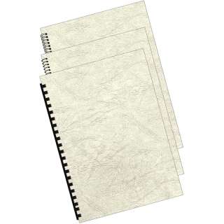 KARTONSKE KORICE 250g IVORY A4 PAK.100 - 5370004 