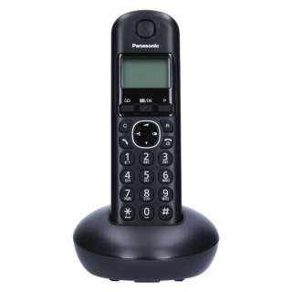 PANASONIC DECT KX-TGB 210 