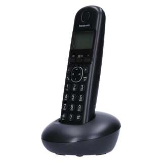 PANASONIC DECT KX-TGB 210 