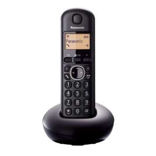 PANASONIC DECT KX-TGB 210 