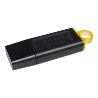 KINGSTON USB FLASH MEM. 128GB DTX 