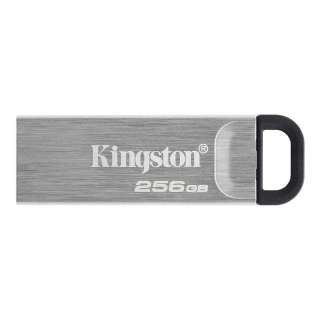 KINGSTON USB FLASH MEM. 256GB DTKN 