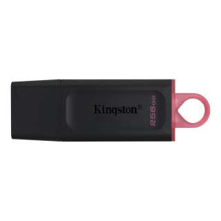 KINGSTON USB FLASH MEM. 256GB DTX 