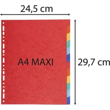 EXACOMPTA PREGRADNI KARTON A4+, 12 BOJA,REC.220g 