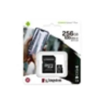 KINGSTON MICRO SD 256GB MEM.KARTICA+ADAPTER (10) 