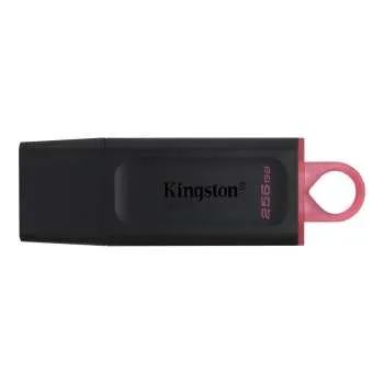 KINGSTON USB FLASH MEM. 256GB DTX 