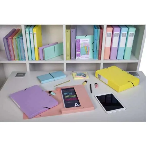 EXACOMPTA BOX FASCIKLA A4 25mm 0.7mm AQUAREL Ass. 