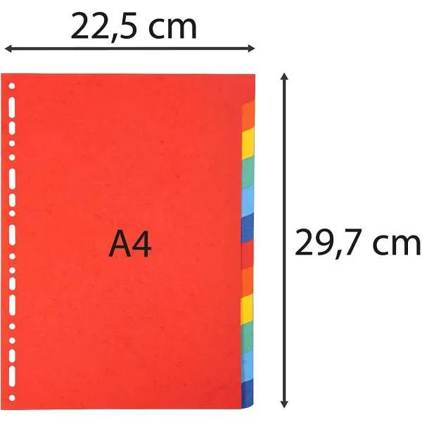 EXACOMPTA PREGRADNI KARTON A4, 10 BOJA, REC. 220g 