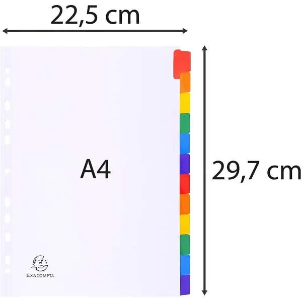 EXACOMPTA PREGRADNI KARTON A4,12 BOJA, PLAST.DODAT 