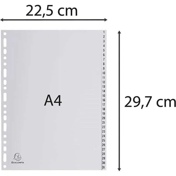 EXACOMPTA PREGRADNI INDEKS PP A4,SIVA BROJ 1-31 