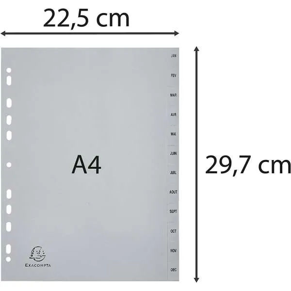 EXACOMPTA PREGRADNI INDEKS PP A4,SIVA, JAN/DEC 