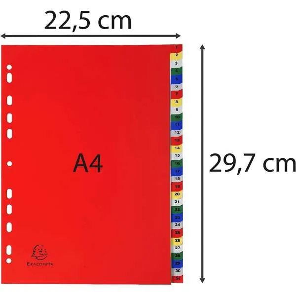 EXACOMPTA PREGRADNI INDEKS PP A4,BOJA, BROJ 1-31 