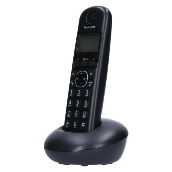 PANASONIC DECT KX-TGB 210 