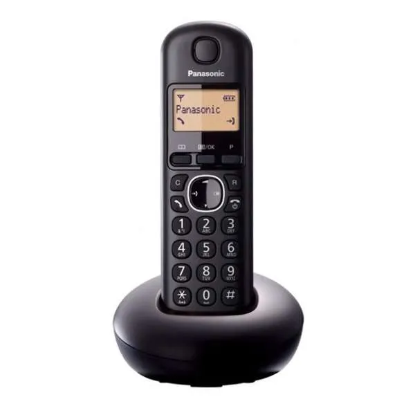 PANASONIC DECT KX-TGB 210 