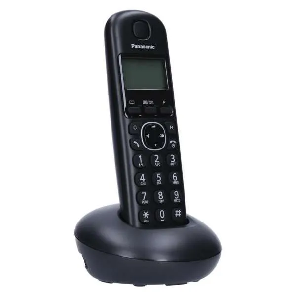 PANASONIC DECT KX-TGB 210 