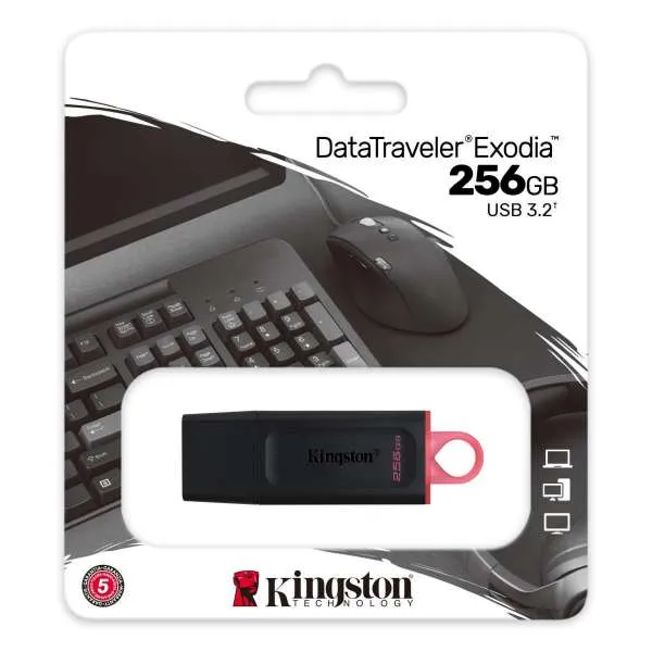 KINGSTON USB FLASH MEM. 256GB DTX 