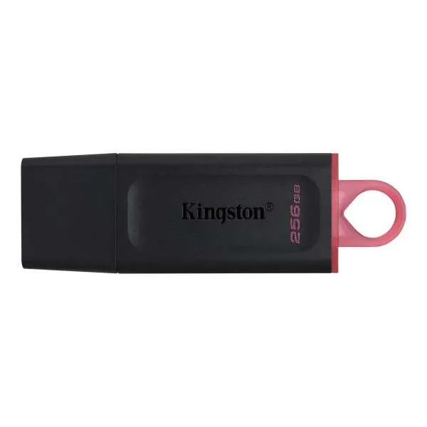 KINGSTON USB FLASH MEM. 256GB DTX 