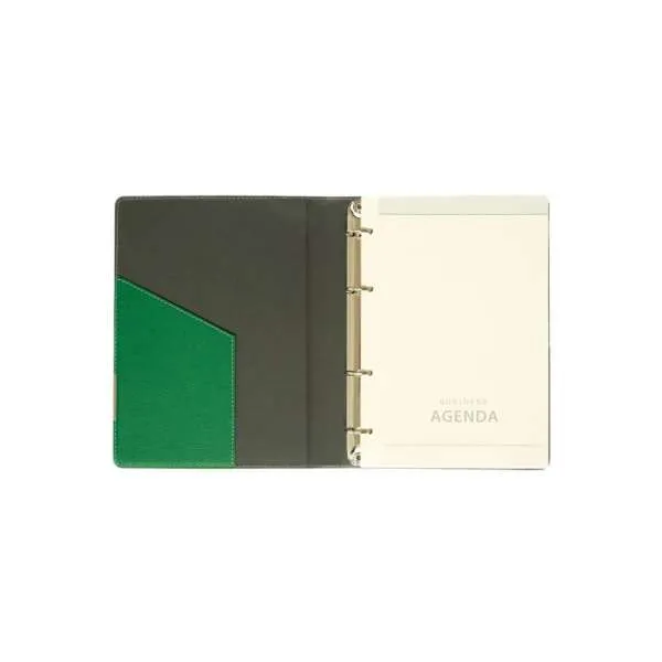 AGENDA LION A5 OMEGA  zelena 