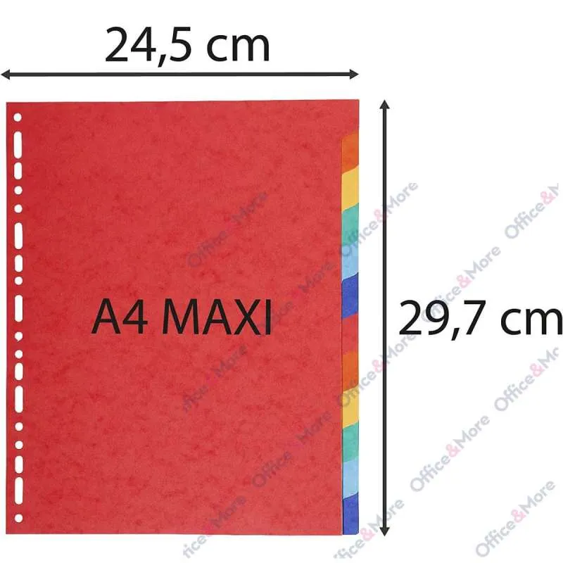 EXACOMPTA PREGRADNI KARTON A4+, 12 BOJA,REC.220g 