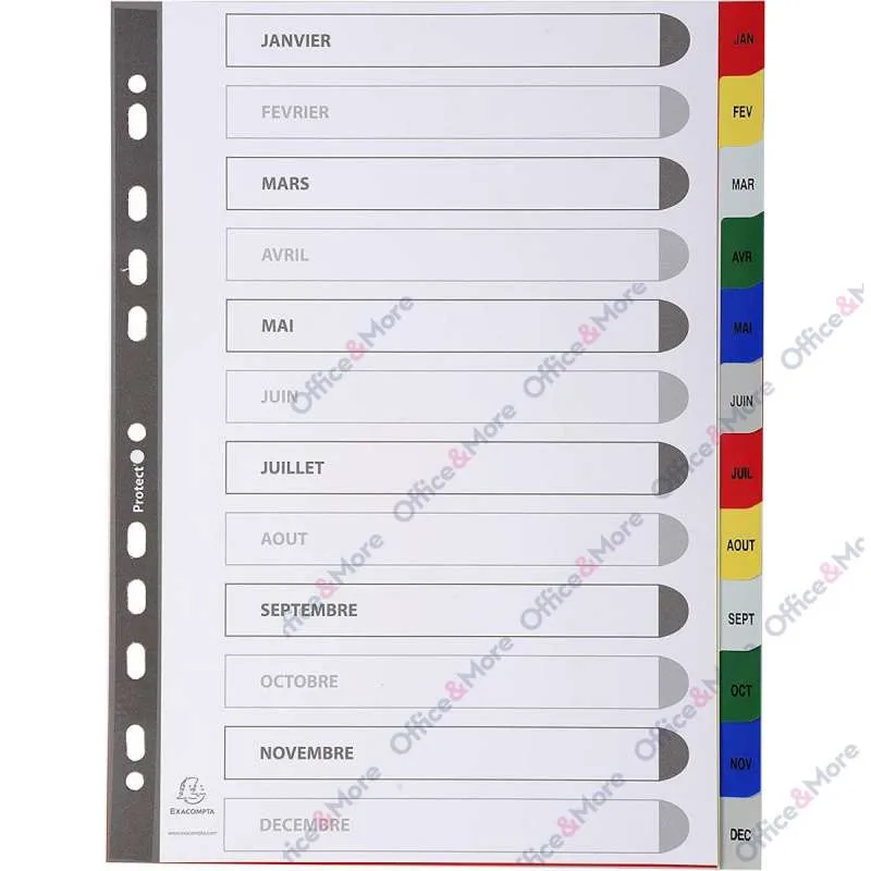 EXACOMPTA PREGRADNI INDEKS PP A4,BOJA, JAN/DEC 