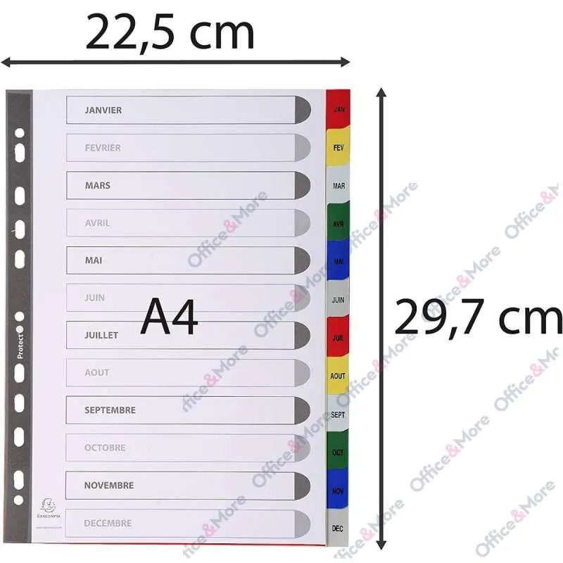 EXACOMPTA PREGRADNI INDEKS PP A4,BOJA, JAN/DEC 