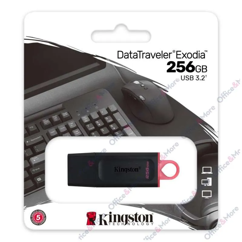 KINGSTON USB FLASH MEM. 256GB DTX 