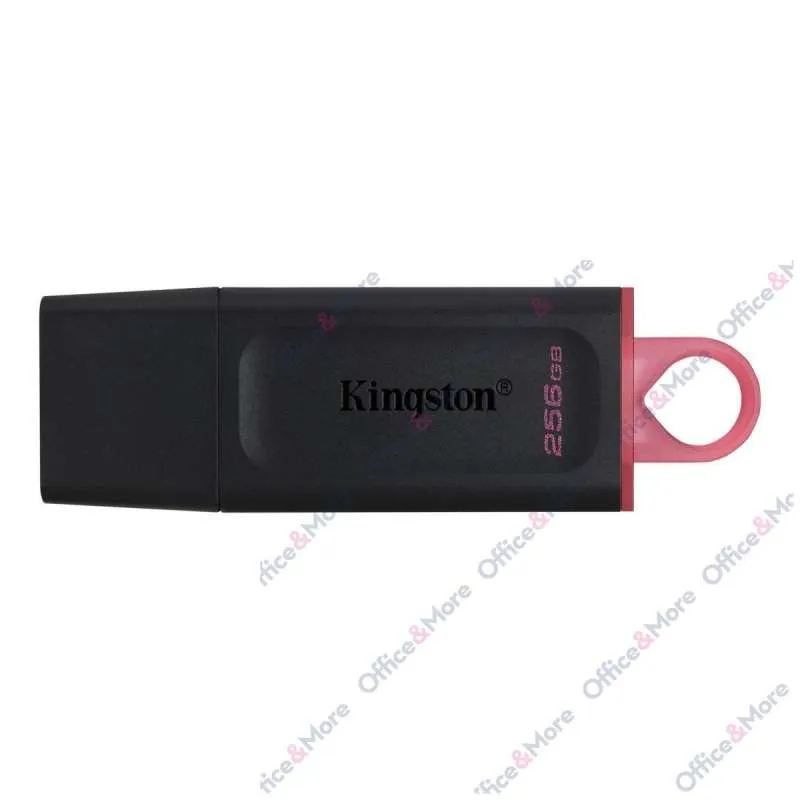 KINGSTON USB FLASH MEM. 256GB DTX 