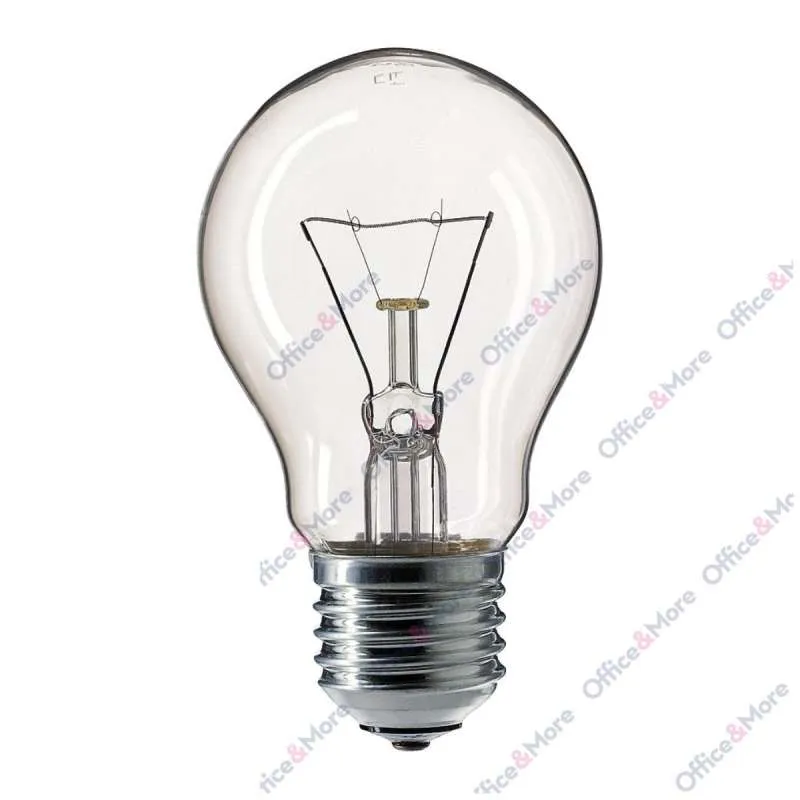 PHILIPS SIJALICA A55 100W E27 - BISTRA 