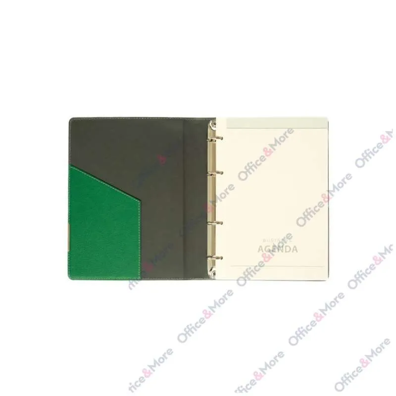 AGENDA LION A5 OMEGA  zelena 