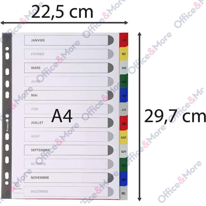 EXACOMPTA PREGRADNI INDEKS PP A4,BOJA, JAN/DEC 