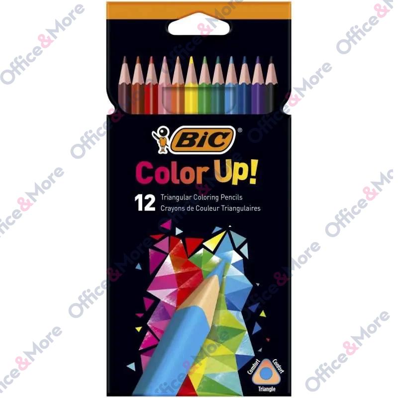 BIC DRVENE BOJE INTENSITY UP 1/12 